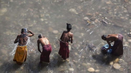 为什么去西藏旅游时,导游反复叮嘱不要洗澡 大部分人不知道 