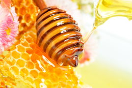 蜂蜜喝多了口腔溃疡