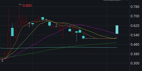 中远海运国际午后股价急升，涨幅超过5%