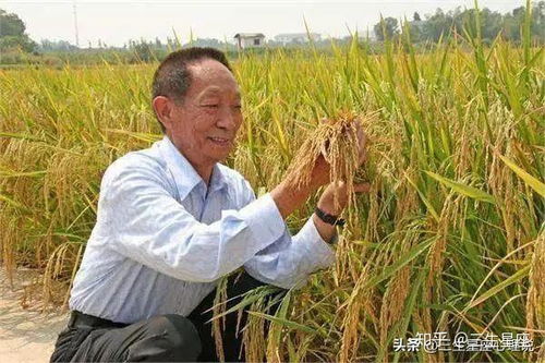 天秤座李文亮医生及其父亲 父亲节快乐,谢谢你们的付出 医者仁心,世代相传 