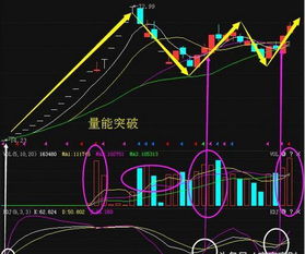 环保股的龙头是什么股票？