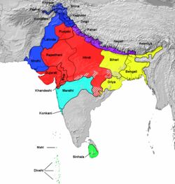 印度人的语言为什么叫印地语而不是印度语(印度人说印地语吗)