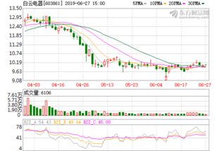 白云电器上市以来最高股价是好多
