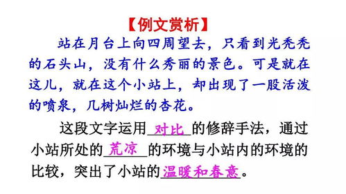 统编版语文六年级上册第五单元 习作例文 图文讲解 微课视频 知识点