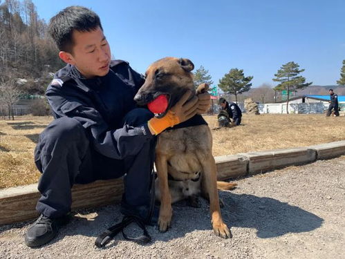 缉毒防暴警犬队是做什么的