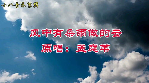 经典歌曲 风中有朵雨做的云 原唱 孟庭苇 