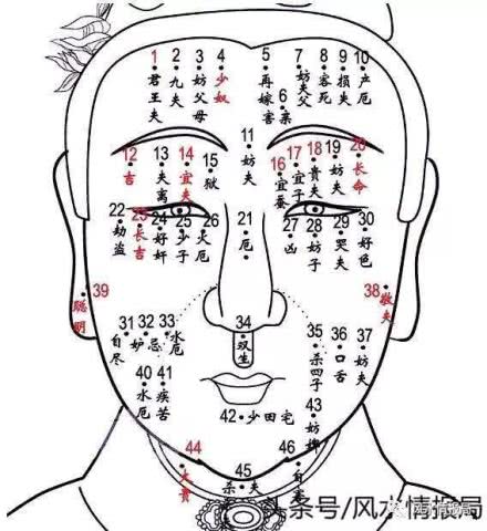 表情 风水情报局 零基础学习看面相,面相基础学之痣相算命 腾讯网 表情 