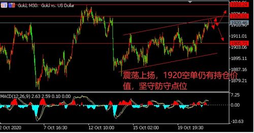 黄金和白银的行情走势分析：沐鸿洋看持续震荡调整