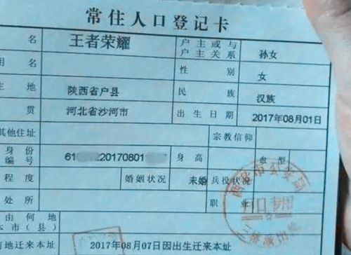 周姓父亲帮儿子取名,家谱轮到 大 字,爷爷想出的名字绝了