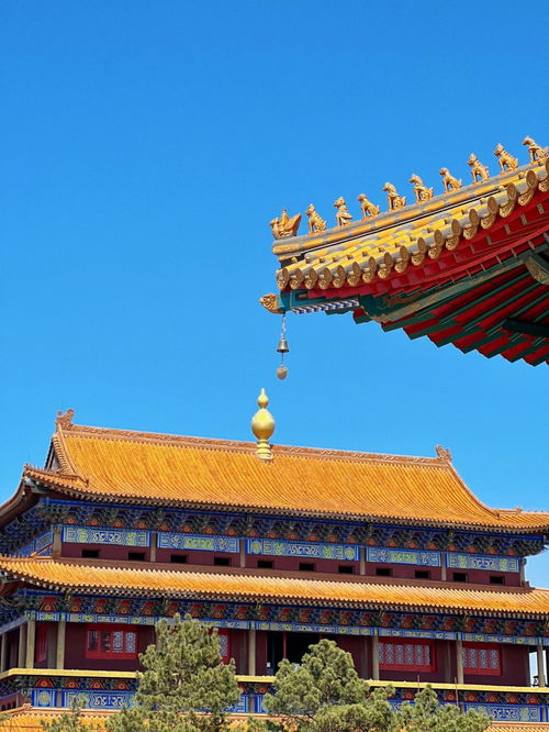 松原 亚洲最大的寺庙殿宇 