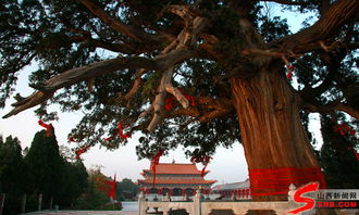 山西大禹渡景区携手国际一流团队 倾力打造黄河龙头景区