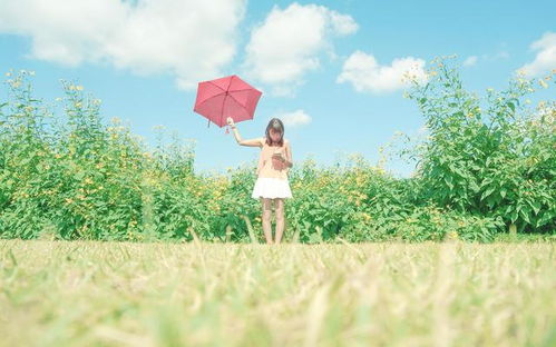 九月初,落花无情人有意,过往爱情再度回流的星座