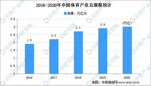 比分投注计算器：科技助力体育赛事数据分析与预测”