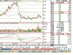 永泰能源怎么样6块进的能长期持有吗