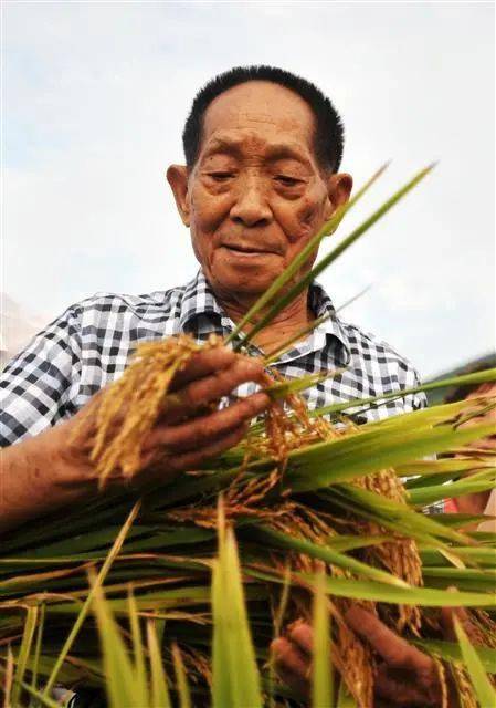 袁隆平 梦见禾下乘凉,是我最幸福的时候