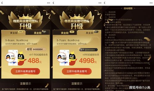 qq6位靓号(如何购买终身6位数QQ号)