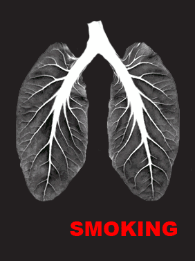 健康百科 戒过烟的人都说难戒,烟真的戒不掉吗