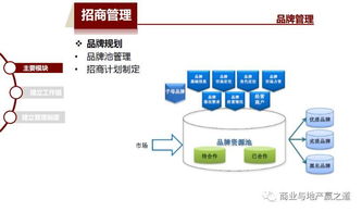 三顾购物系统开局三个系统