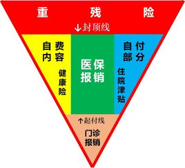 绍兴市社会保险法,绍兴城乡居民医保报销比例