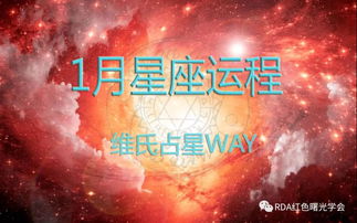 维氏占星2019年1月十二星座运程