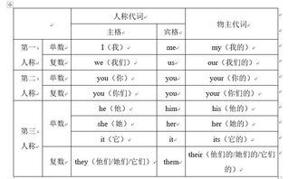 不过主语造句（用人称代词只做主语造句）