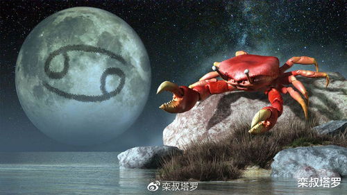 每日星座运势 2020.4.6 星座运势