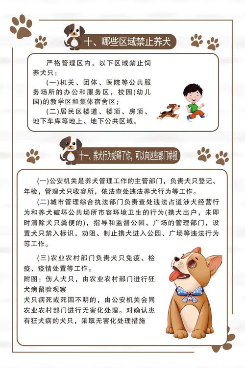 一图读懂丨沧州市养犬管理办法