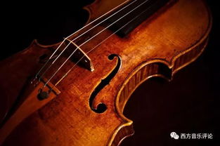 提升小提琴揉弦技术,读读这篇文章