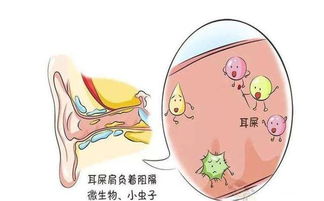 每年有12000多名儿童掏耳朵进了急诊,你还敢掏吗