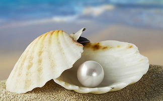 什么是珍珠疗法 将珍珠放私处可治疗妇科病吗