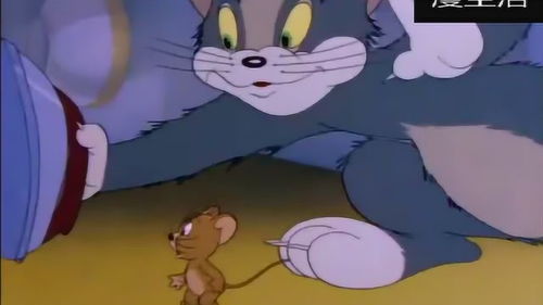 猫和老鼠 杰瑞太可爱了,偷东西被发现,居然给还回去了 