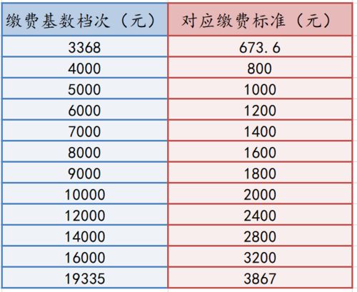 灵活就业缴费标准(四线城市灵活就业人员养老保险)