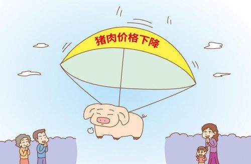 引起猪肉价格上下波动的主要原因