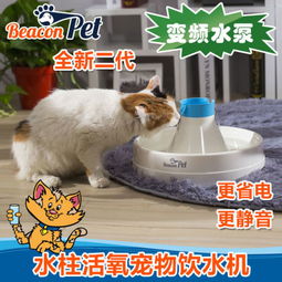 猫汤罐头做法 猫咪爱喝汤 
