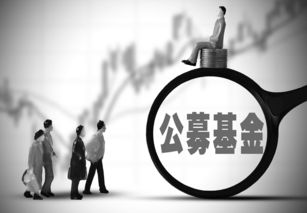 我不懂公募基金是什么意思，能给我讲解一下吗？