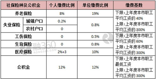 社保养老保险金在公司是如何缴纳的