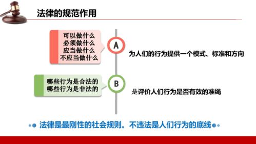 5.1 法不可违 课件共22张PPT 