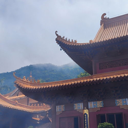 深圳最灵验的寺庙 弘法寺攻略 
