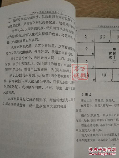 紫薇斗数讲义(陆斌兆紫微斗数讲义pdf)