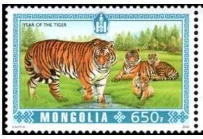 各国发行虎年邮票庆祝中国虎年 虎嗅蔷薇 招财虎 看完想集邮了
