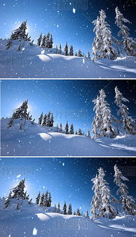 唯美动画冬季雪景下雪松树led视频背景 图片欣赏基地 百奇图讯 Bqatj Com