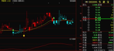 002095生意宝的后市如何？