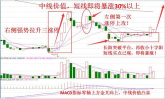 为什么那些机构和股民会冲着利好买股票？一些挺小的利好对股价有什么意义吗？问一个比较搞笑的，它们怎么