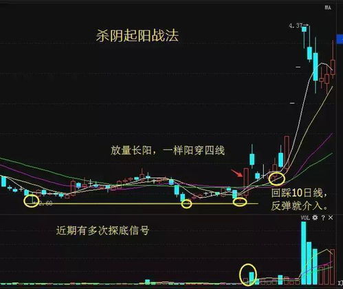 股票问题！为什么空仓的是多头？ 什么是多头？怎么看一只股票的类别？