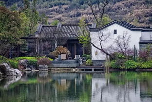 藏在山水间里人少景美的4家亲子民宿,自驾线路从黄山到桂林,从池州到惠州
