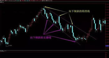 在证券投资中，什么是压力线，什么是支撑线！在K线图中白色线代表…