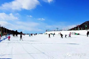 国际滑雪旅游胜地