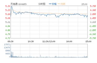 天地源股票历史最高价