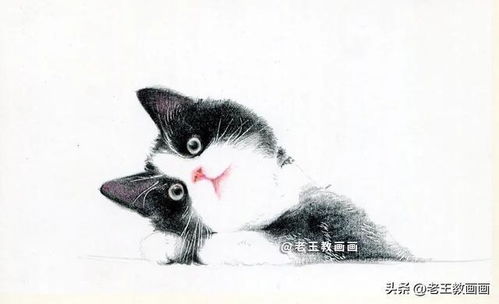 你想学画猫咪吗 教你画一只可爱的猫咪