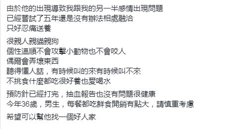 我想弃养老公,他抢走了我的猫